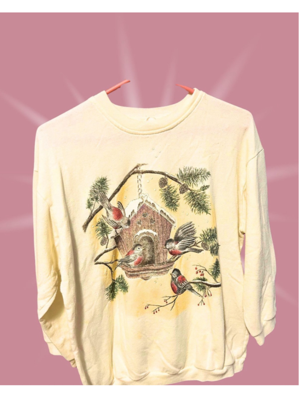 Vintage Cardinal Winter Crewneck S